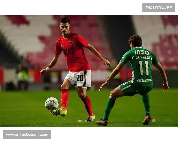 从光明球场到伯纳乌：皇马与本菲卡的欧冠恩怨情仇